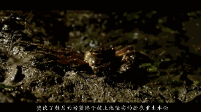 微信圖片_20171012094036.gif